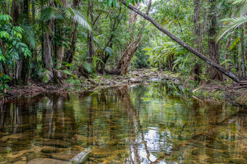 Beautiful creek at Finch Hutton Gorge, Mackay, Queensland, Australia