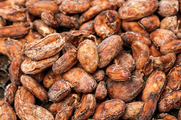 Aromatic dried cocoa beans as background