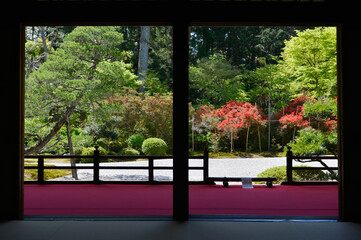 曼殊院　大書院から庭園を眺める　京都市左京区