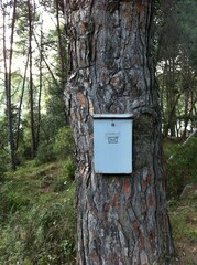 Briefkasten im Wald