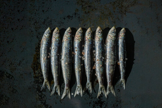 Raw sardines on slate
