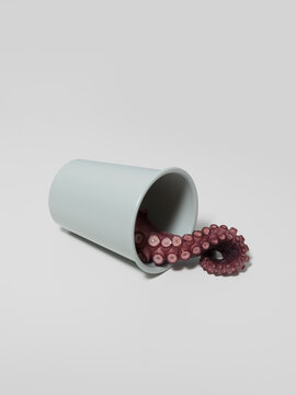 Surreal still life with an octopus tentacle inside a cup
