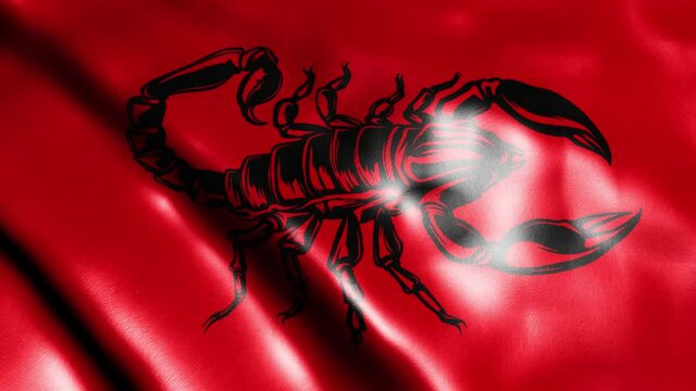 video Red scorpion on flag
