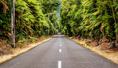 Long straight road through an avenue of trees vanishing into the distance  driving towards Lake...