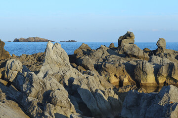 石灰岩の海岸。　「岩井崎」の風景。　日本宮城県気仙沼市。