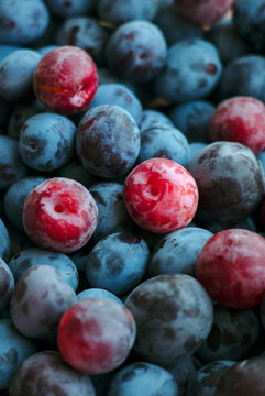 Fresh plums