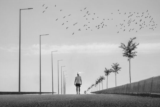 Freedom 