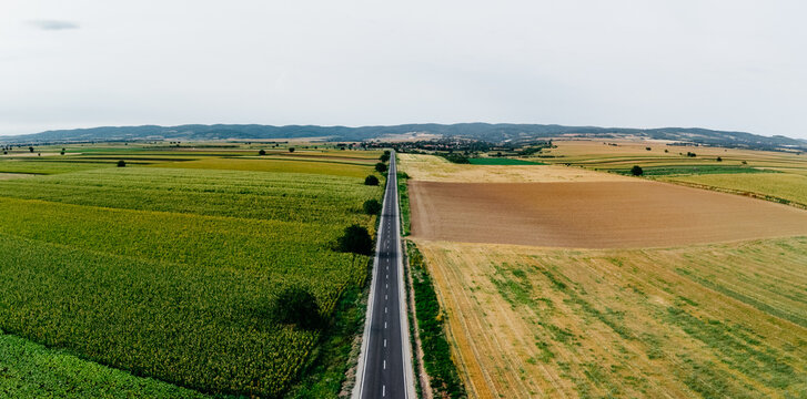 Open Road Between Fields