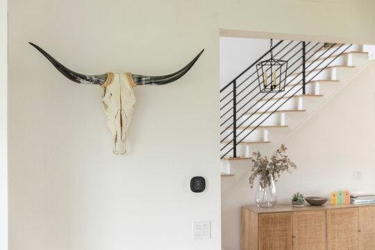 Long Horn Skull head decoration on wall in luxury home