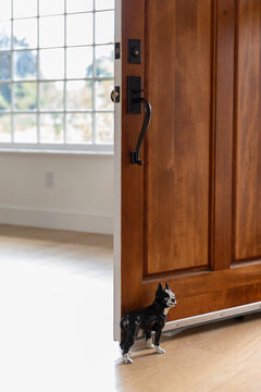 Decorative Dog Door Stopper 
