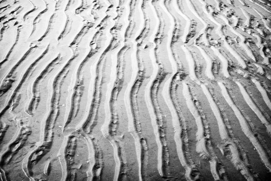 Rippled beach sand