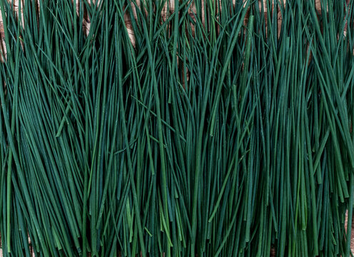Spring onion greens background