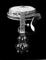 Bluegrass Banjo