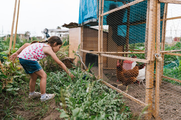 Girl near hen house in village