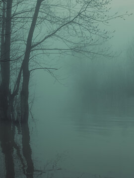 Dark forest lake with mysterious fog