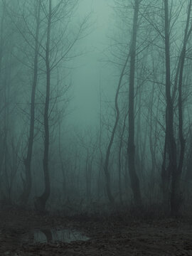 Dark autumn forest with mysterious fog