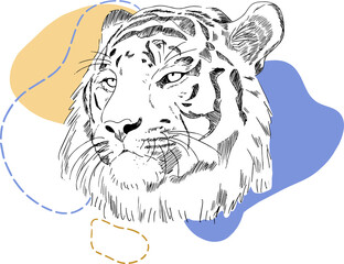 sketch tiger and abstract figures illustration. Vector illustration