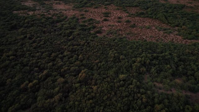 Drone Flying Over Arizona Desert Brush to Reveal Red Mountain at Sunset