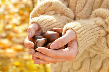 Woman holding chestnuts outside, closeup