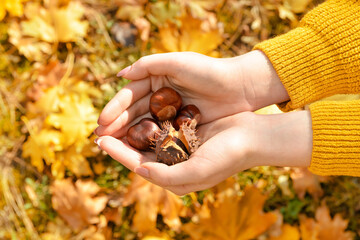 Woman with heap of chestnuts outside
