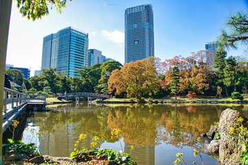 都会の中の公園