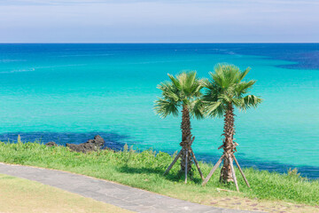 A trail with palm trees and turquoise beaches.