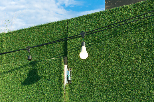 Green Walls And Light Bulbs.