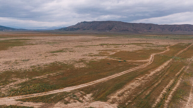 gravel road through the wasteland area 
