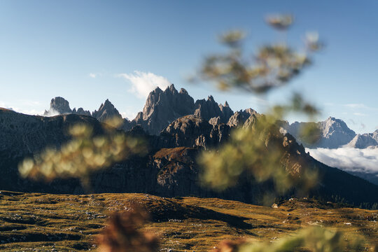 Flowers framing mountain