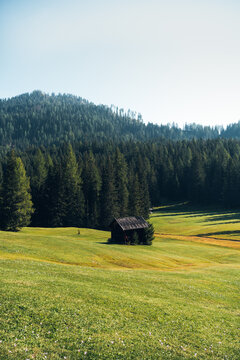 Alpine Hut on a meadow 