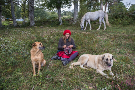 woman knitting with her domestic animals close by 