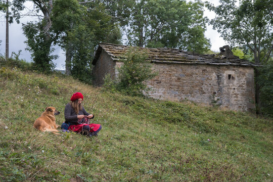 woman with dog knitting in nature
