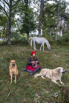 woman surrounded by domestic animals is knitting