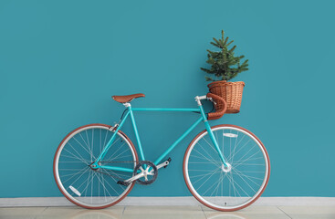 Bicycle with Christmas tree in basket near color wall