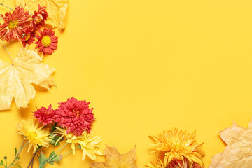 Chrysanthemum flowers and autumn leaves on color background, closeup