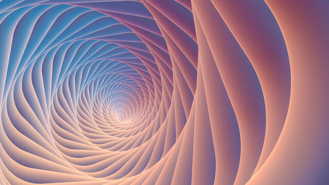 SEASHELL SPIRAL