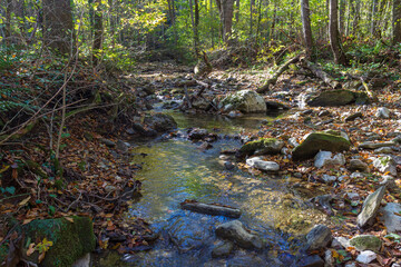 a journey along the bed of a mountain river, an autumn day, a shallow bottom and stones are warming up in sunlight, nature is preparing for winter.