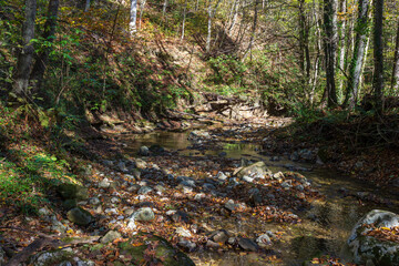 a journey along the bed of a mountain river, an autumn day, a shallow bottom and stones are warming up in sunlight, nature is preparing for winter.