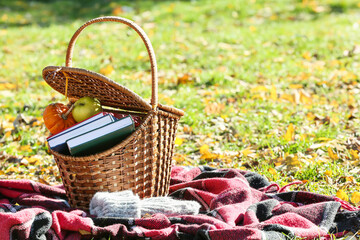 Picnic basket with books, pumpkin and apple on plaid in park