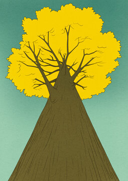 Yellow tree in autumn
