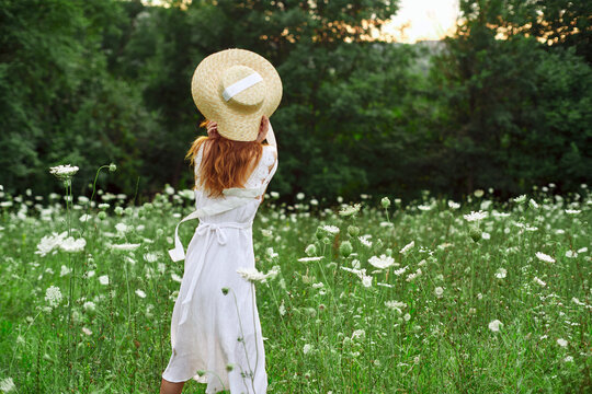 pretty woman in a field in nature white dress fresh air