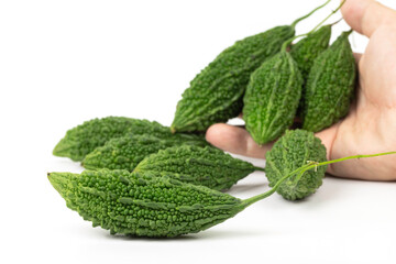 Fresh bitter gourd.