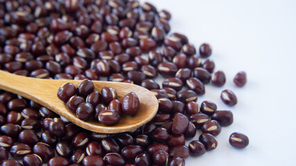 小豆”Azuki・Red beans”