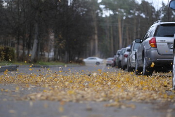 Moscow, Russia - October, 23, 2021: cars on a street parking in Moscow at autumn, Russia