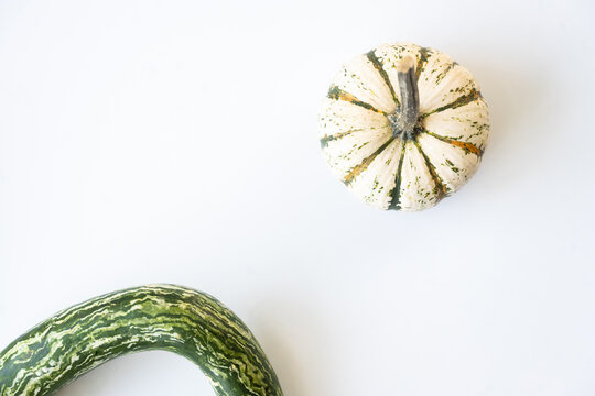 Pumpkin and gourd on white