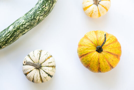 Pumpkins and gourd on white
