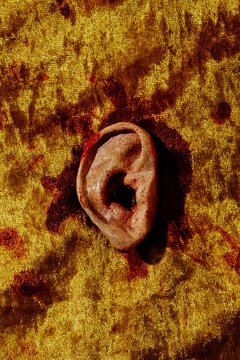 an amputated ear on a golden velvety fabric