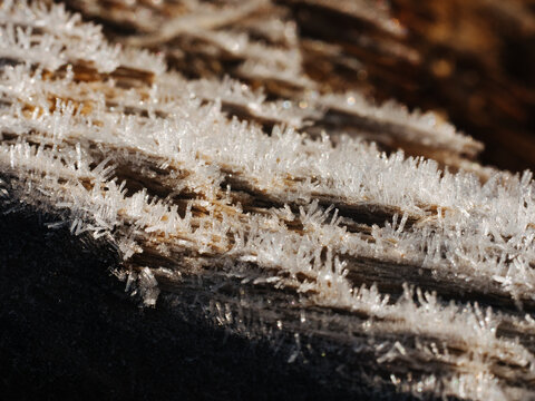 Wood texture with rime