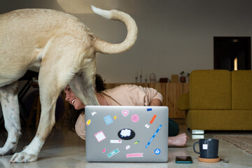 Naughty dog ​​at home