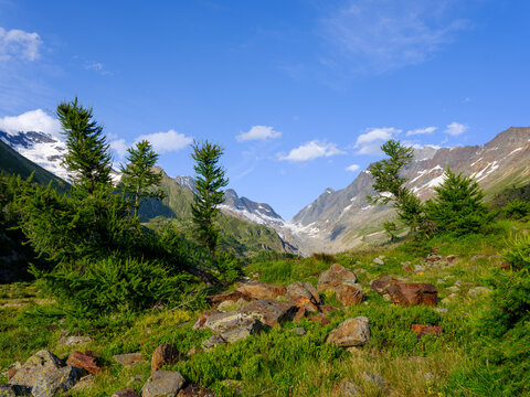 Alpine meadow at L&ouml;schental valley